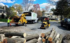 Best Tree Preservation Services  in Wynantskill, NY